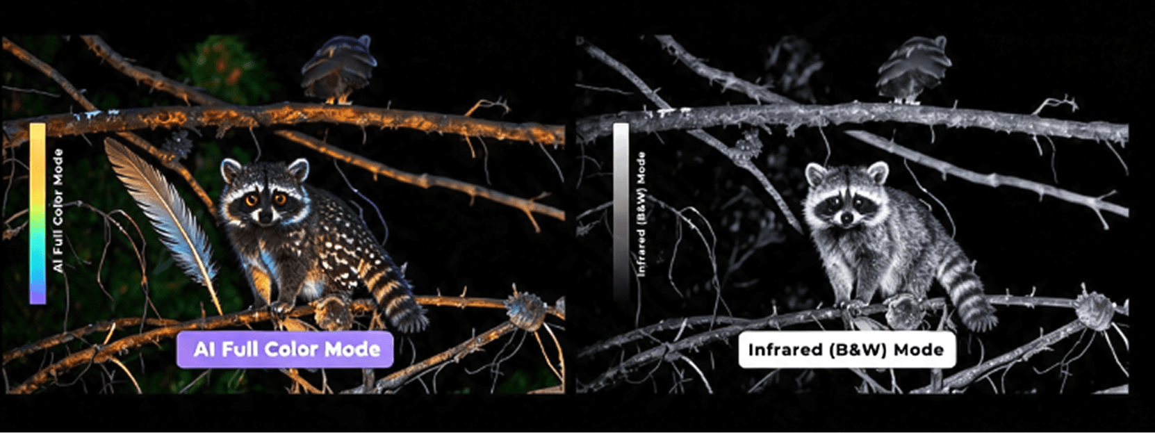 C5C AI full-color and infrared black-and-white night vision comparison